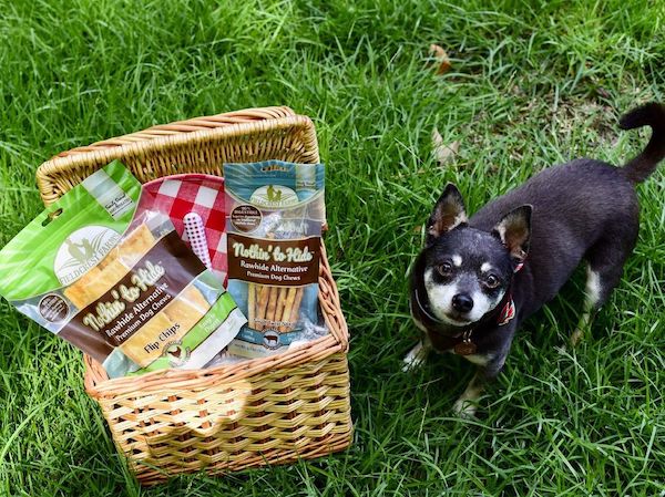 dia-internacionla-del-picnic-por-que-se-celebra