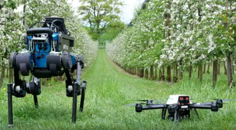 Robots granja hands-free Australia 